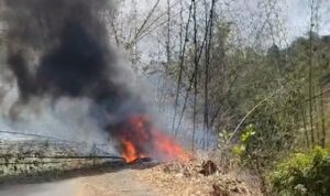 Accueil 15 Incendies de végétation le long de la route départementale à Vahibé à Mayotte