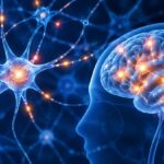 Accueil 5 À Mayotte, la maladie d’Alzheimer se manifeste dix ans...