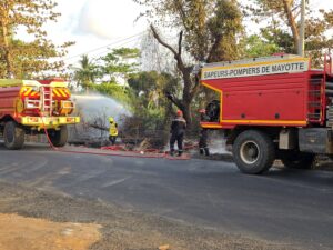 Accueil 11 Un incendie est en cours ce mercredi 30 septembre entre Poroani et Sada, le long de la RD5. Selon les informations recueillies sur place, le feu aurait commencé vers midi. Poussées par le vent, les flammes auraient également atteint l’autre côté de la route. Aucune culture ne se trouve à proximité du foyer signalé. Les pompiers soupçonnent qu’un mégot pourrait être à l’origine du départ de feu, mais cette hypothèse reste à confirmer. La situation rappelle combien le vent peut compliquer l’évolution d’un incendie de végétation : un feu parti d’un côté de la chaussée peut rapidement menacer l’autre. Pour les personnes qui empruntent la RD5, la prudence s’impose à l’approche du secteur. Aucun bilan des surfaces brûlées ni aucune information sur une éventuelle perturbation de la circulation n’ont été communiqués à ce stade.