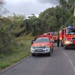 Accueil 7 Un engin incendiaire de type cocktail Molotov déclenche un...