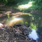 Accueil 7 La Majimbini fait appel à la mémoire des riverains