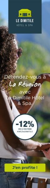 DMT-infokwezi_bandeau-vertical