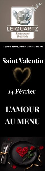 LE QUARTZ_bandeau-vertical