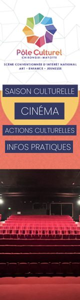 POLE CULTUREL_bandeau-vertical-re7i3nwk045e0ysc6h8cxsd4sudrhr6kwpl60w9h80